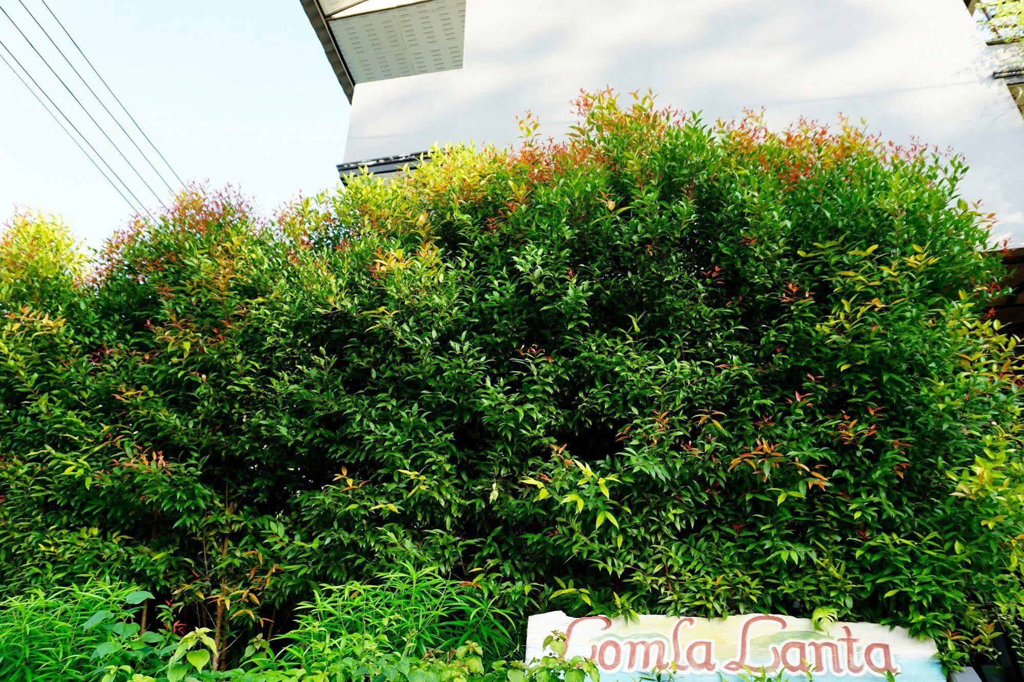 Lom La Lanta Hotel Koh Lanta Exterior photo